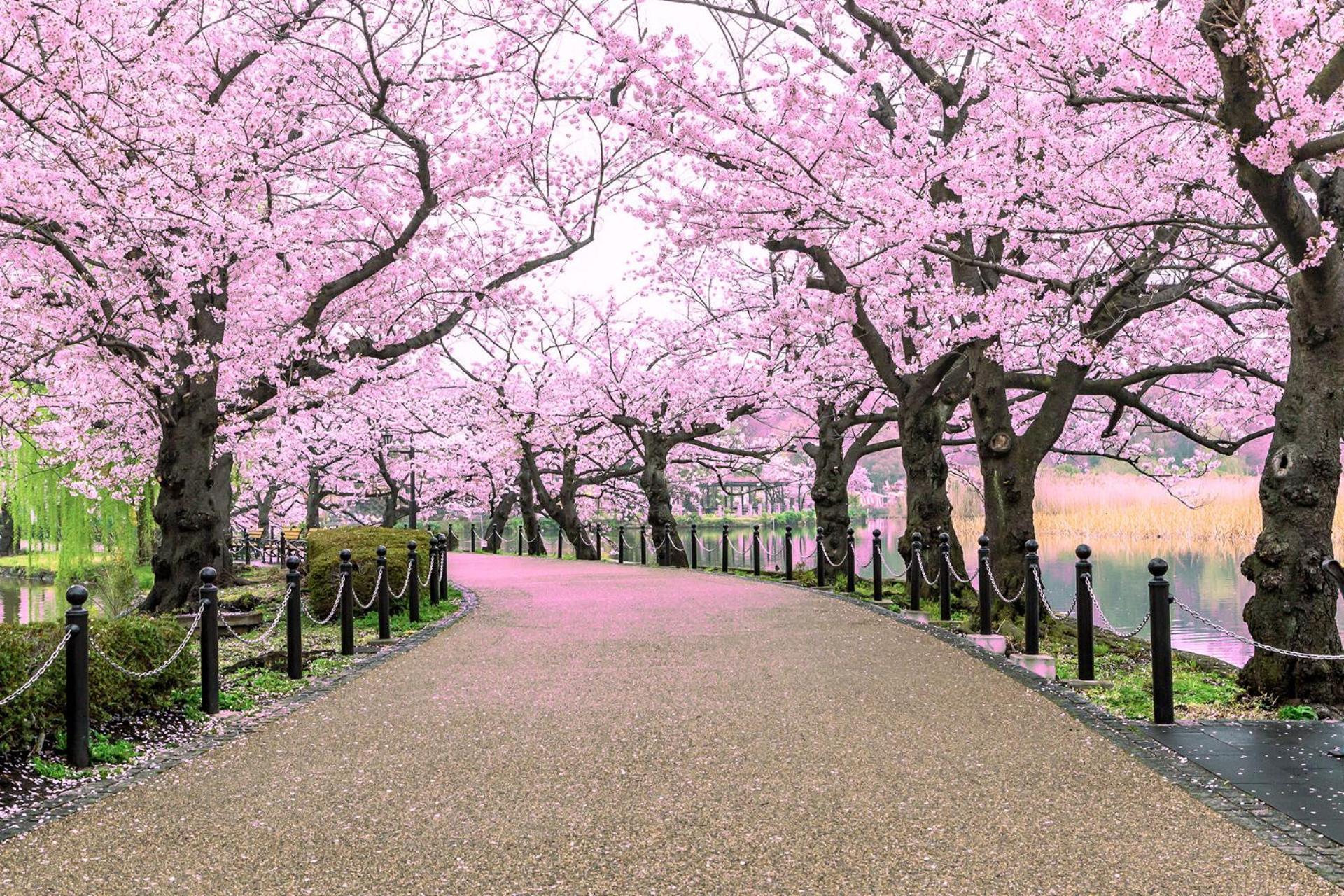 Hop Inn Tokyo Ueno Kültér fotó